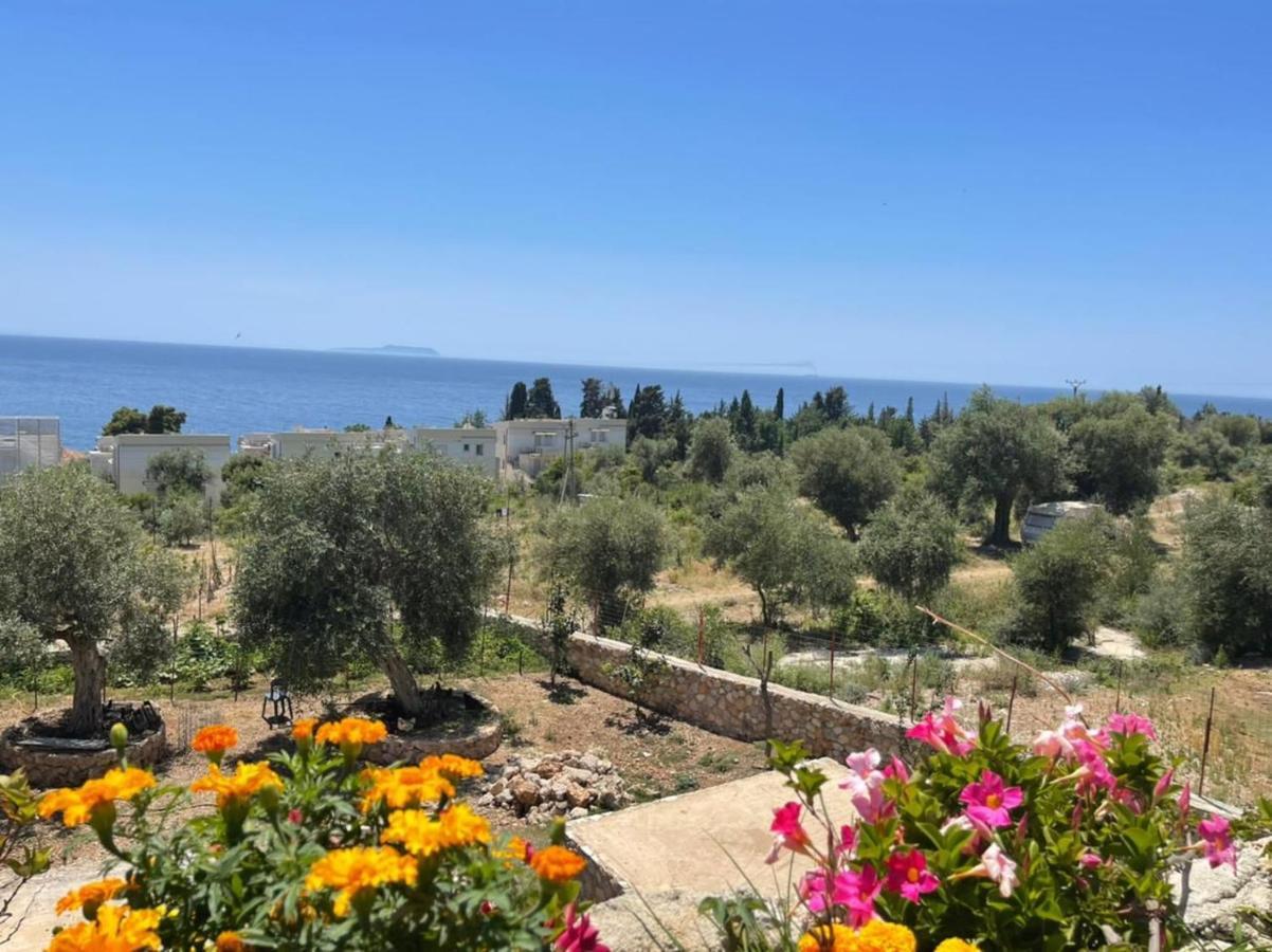Exclusive Greccia Inn Dhërmi Εξωτερικό φωτογραφία
