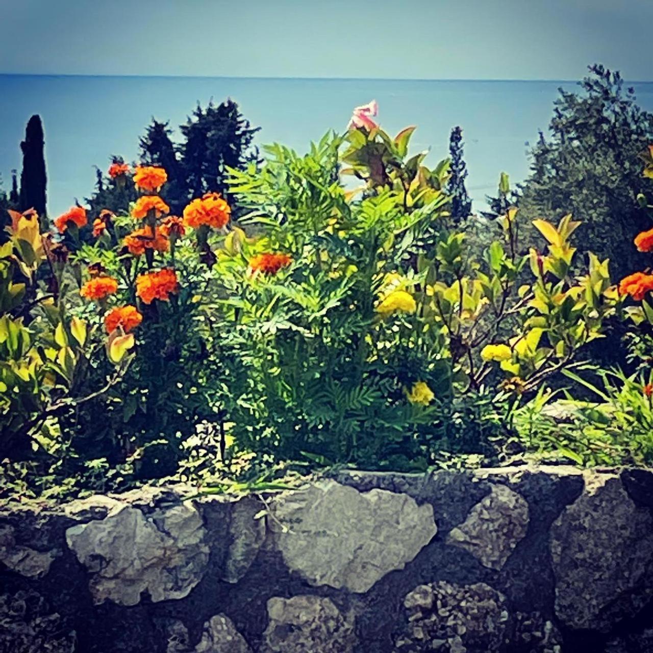 Exclusive Greccia Inn Dhërmi Εξωτερικό φωτογραφία